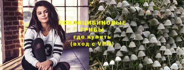 Альфа ПВП Алексин