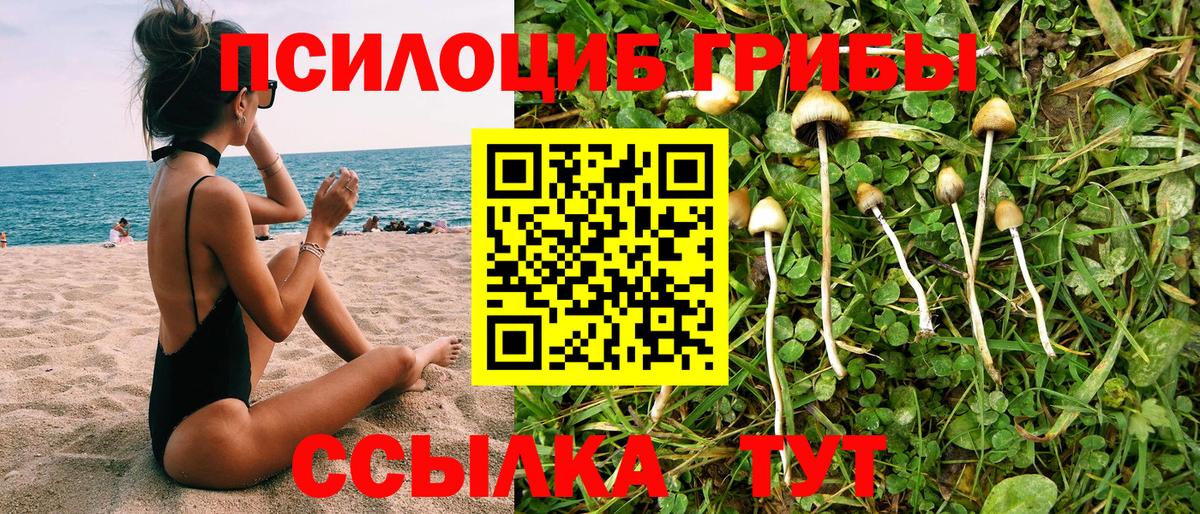 Псилоцибиновые грибы Psilocybine cubensis  где купить   Пермь  Вход с VPN 